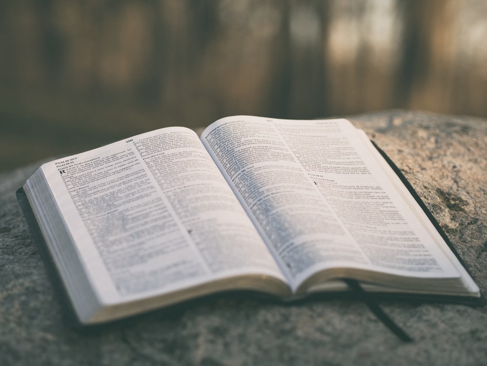 bible